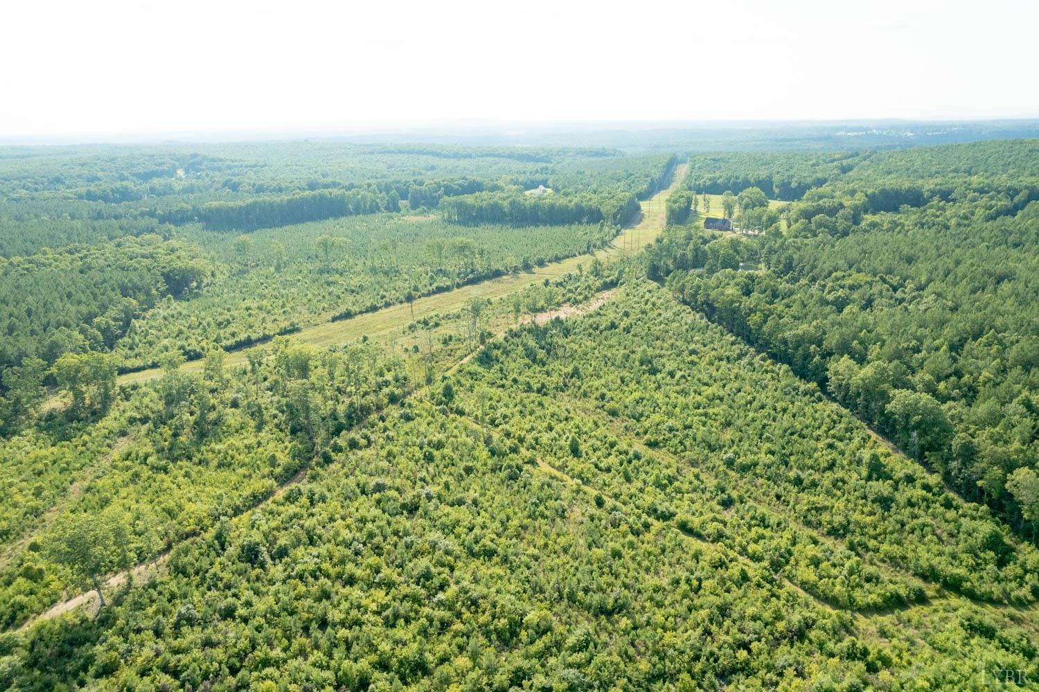 5972 Promise Land Road Appomattox, VA 24522 - Photo 79 of 84 an aerial view of residential houses with outdoor space and trees