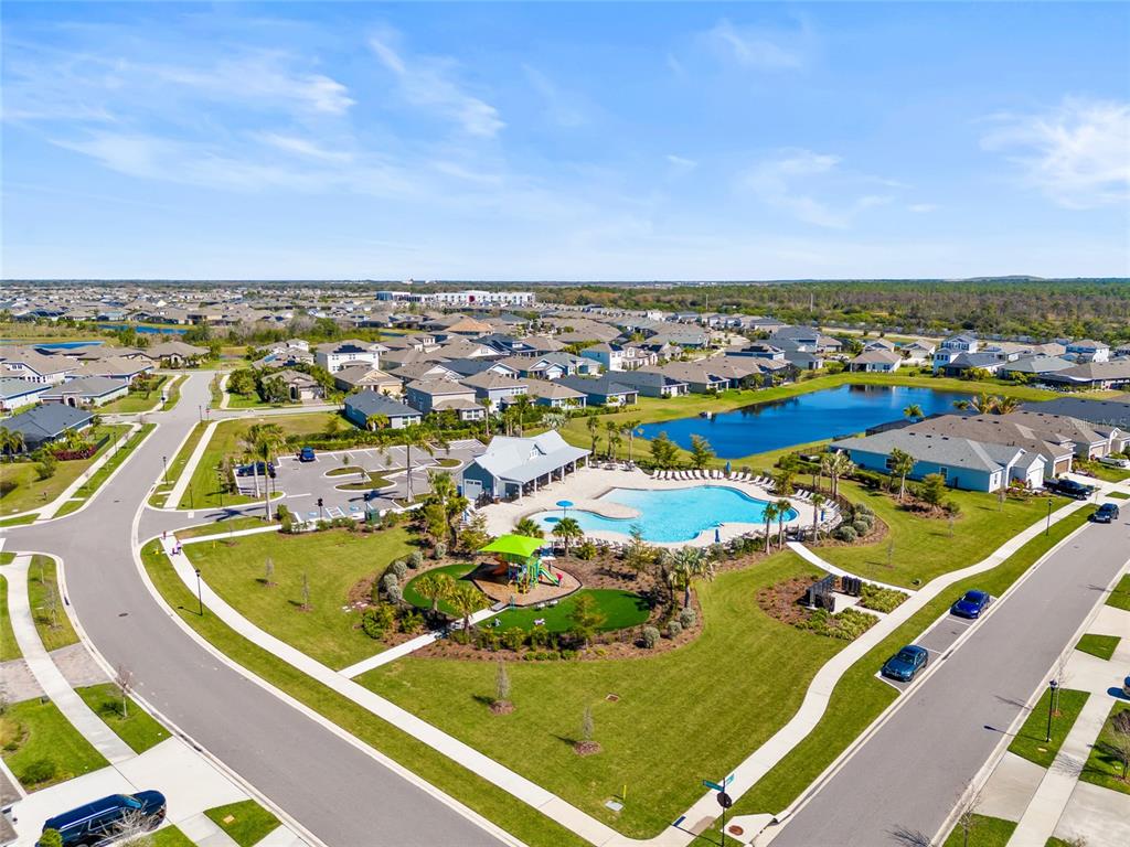 6318 Springline Place Apollo Beach, FL 33572 - Photo 36 of 42
