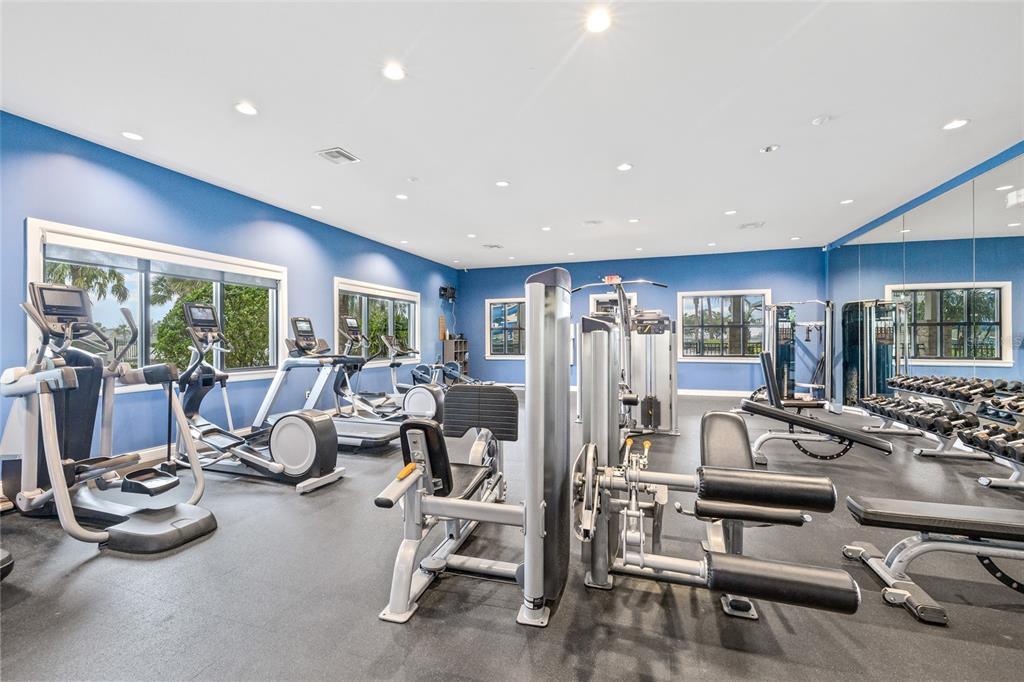 6318 Springline Place Apollo Beach, FL 33572 - Photo 42 of 42