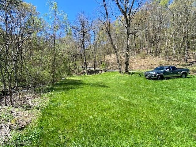 0 Sleigh Hollow Road Duncansville, PA 16635 - Photo 19 of 19 Gallery Image 19