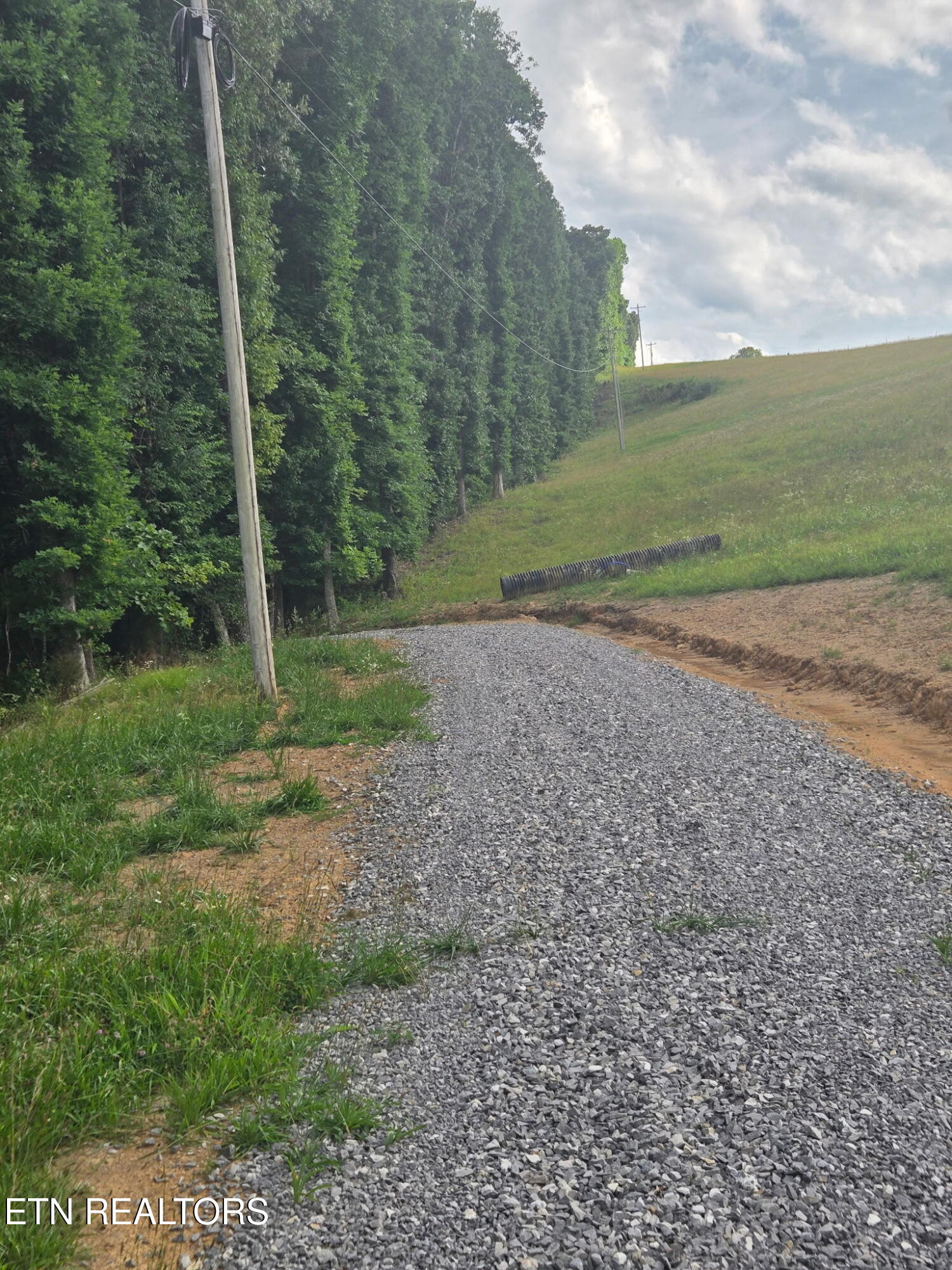 1460 Big Neck Road Grandview, TN 37337 - Photo 30 of 32 Driveway