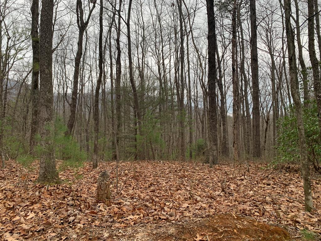3.38 Hendrix Road Murphy, NC 28906 - Photo 2 of 3