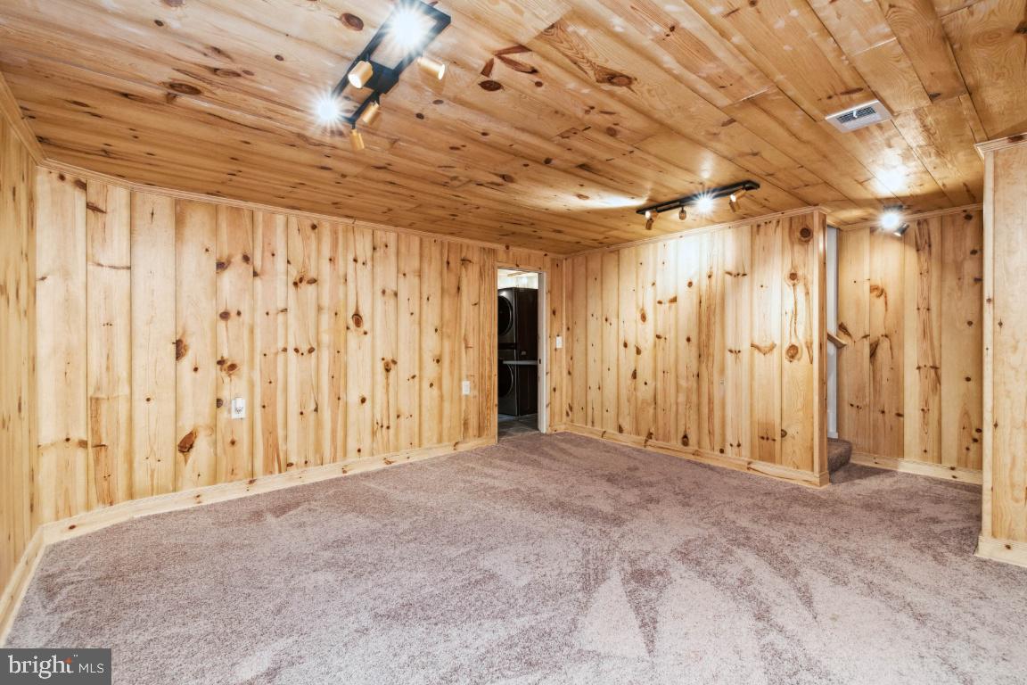 124 Brandon Road Baltimore, MD 21212 - Photo 18 of 25 Lower lever finished with paneling and carpet