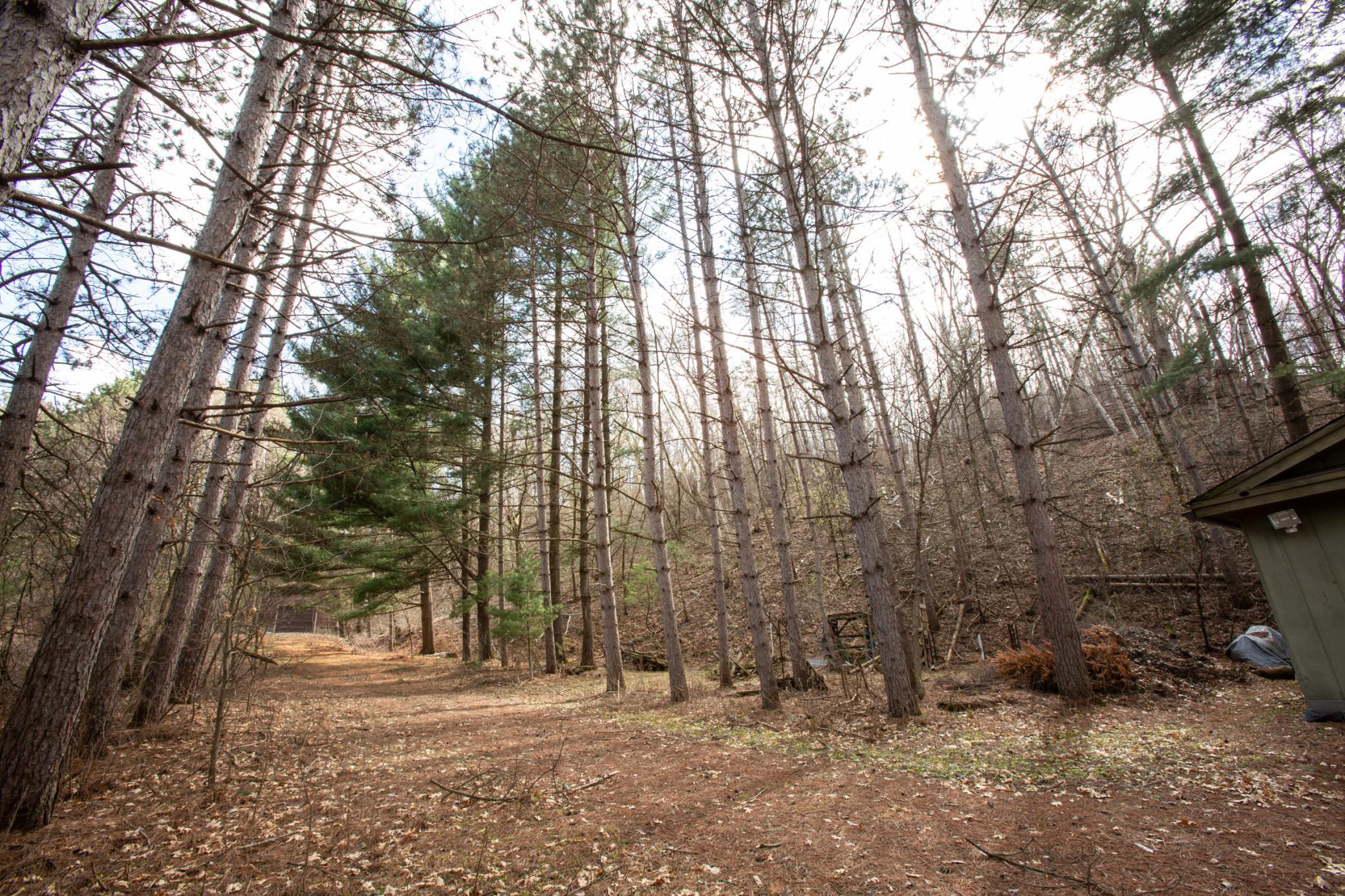 499 Perch Lake Road Hudson, WI 54016 - Photo 2 of 4 Gallery Image 2