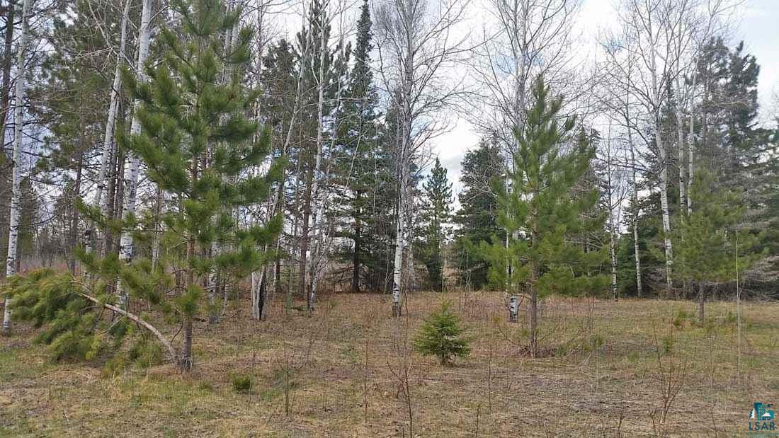 6809 Flaim Road Tower, MN 55790 - Photo 13 of 17