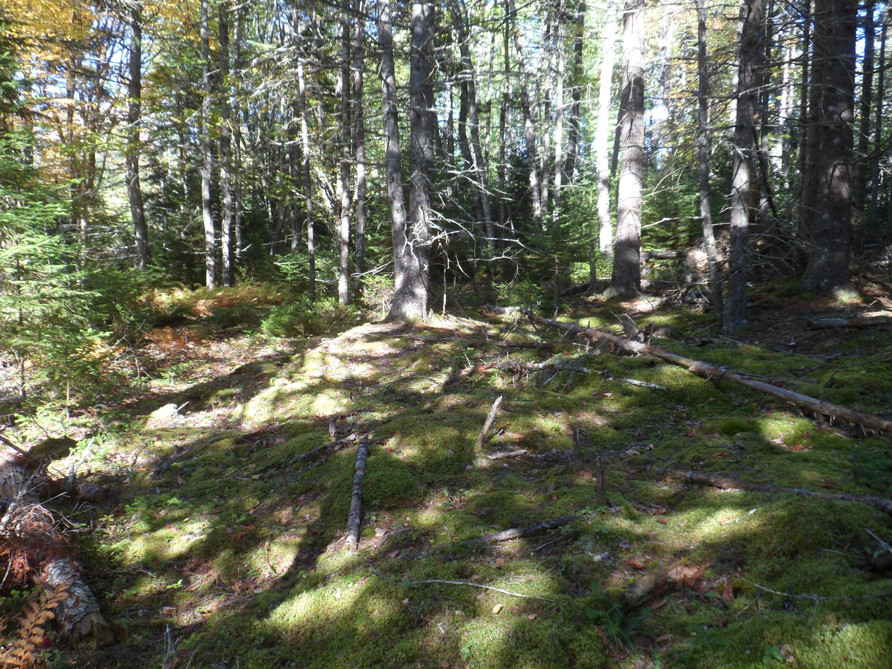 Lot 3 Pooles Hill Road Vinalhaven, ME 04863 - Photo 6 of 21 6271F2D4-C7A2-4FA9-864F-03E0557CEF90