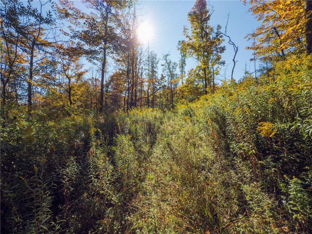 Reservoir Hill Road Norwich, NY 13815 - Photo 38 of 50