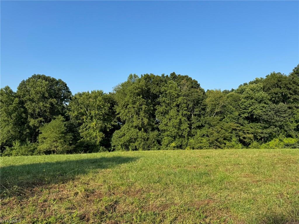 0 Red Hill Creek Road Dobson, NC 27017 - Photo 3 of 13