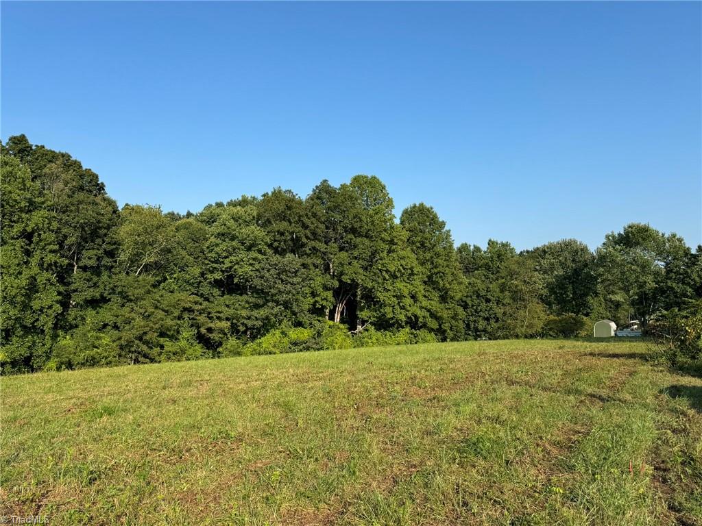 0 Red Hill Creek Road Dobson, NC 27017 - Photo 4 of 13