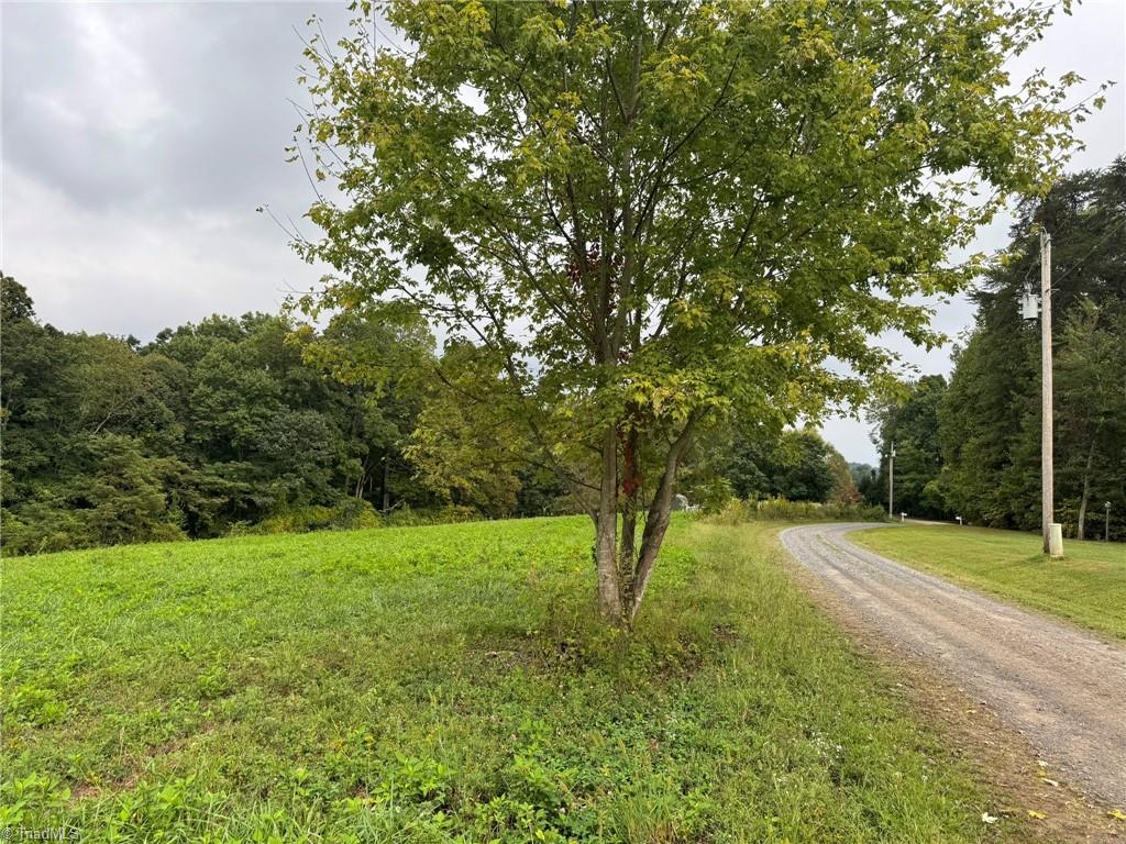 0 Red Hill Creek Road Dobson, NC 27017 - Photo 5 of 13