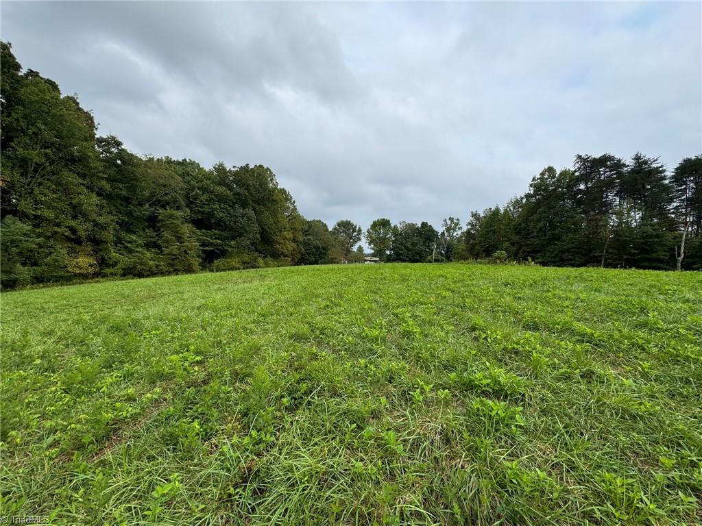 0 Red Hill Creek Road Dobson, NC 27017 - Photo 6 of 13