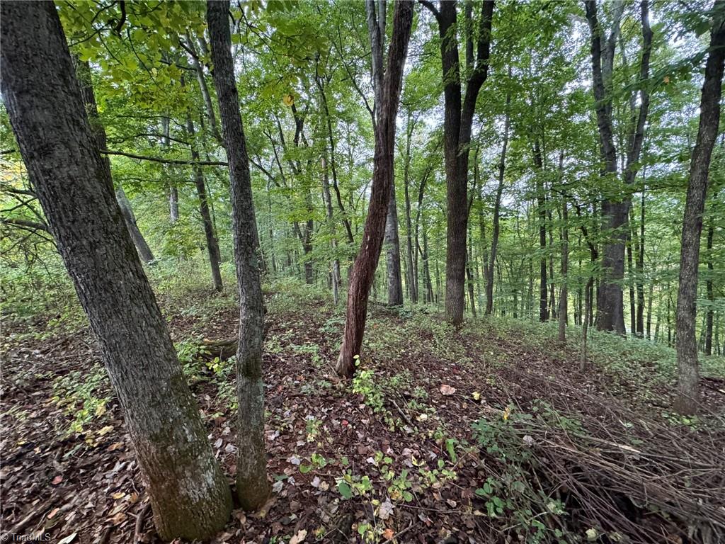 0 Red Hill Creek Road Dobson, NC 27017 - Photo 7 of 13