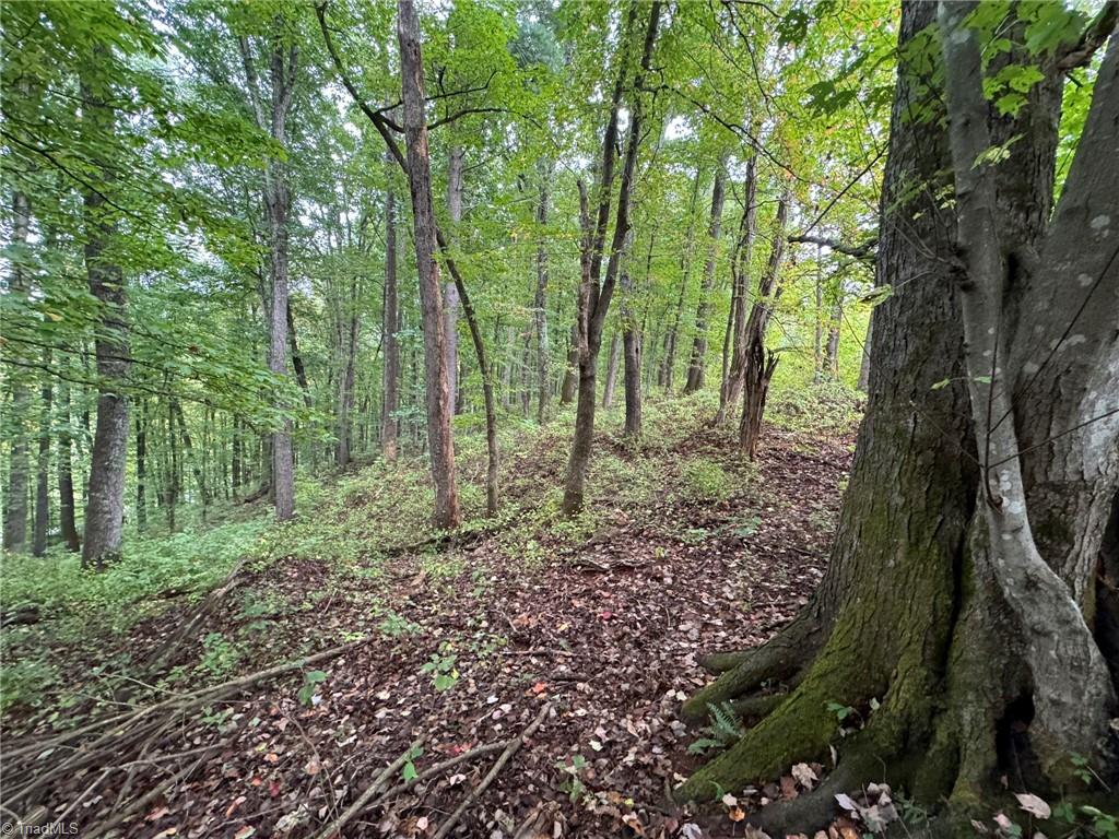 0 Red Hill Creek Road Dobson, NC 27017 - Photo 8 of 13