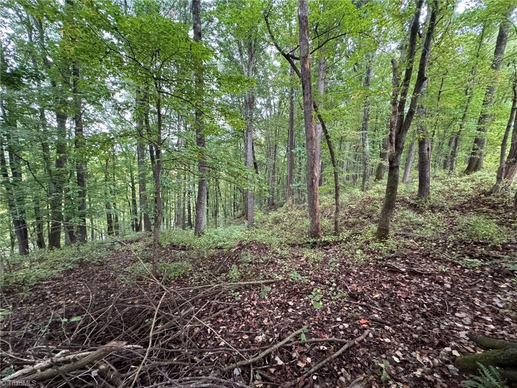 0 Red Hill Creek Road Dobson, NC 27017 - Photo 9 of 13