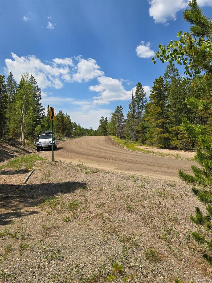 0 Virginia Canyon Road Central City, CO 80427 - Photo 4 of 5