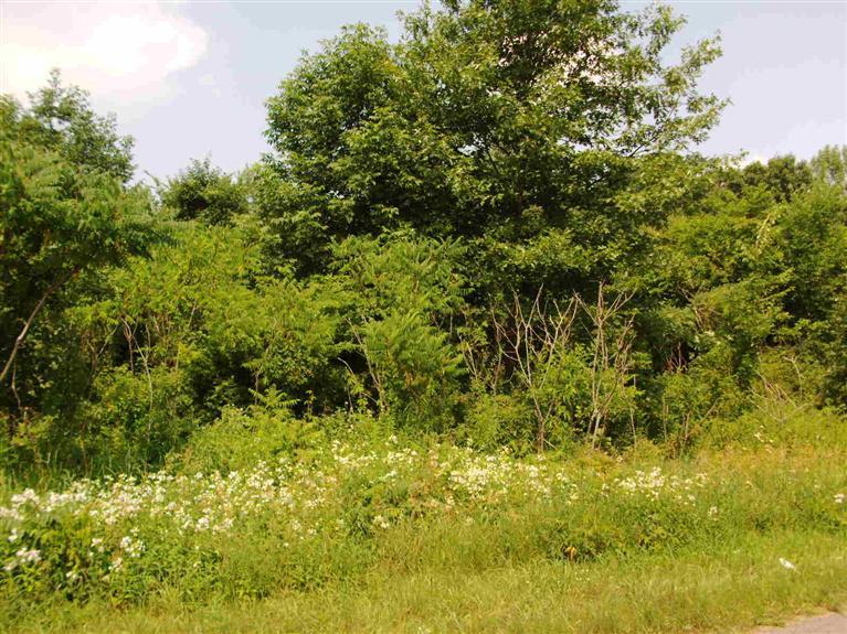 South Thompson Three Rivers, MI 49093 - Photo 2 of 7 Additional Photo