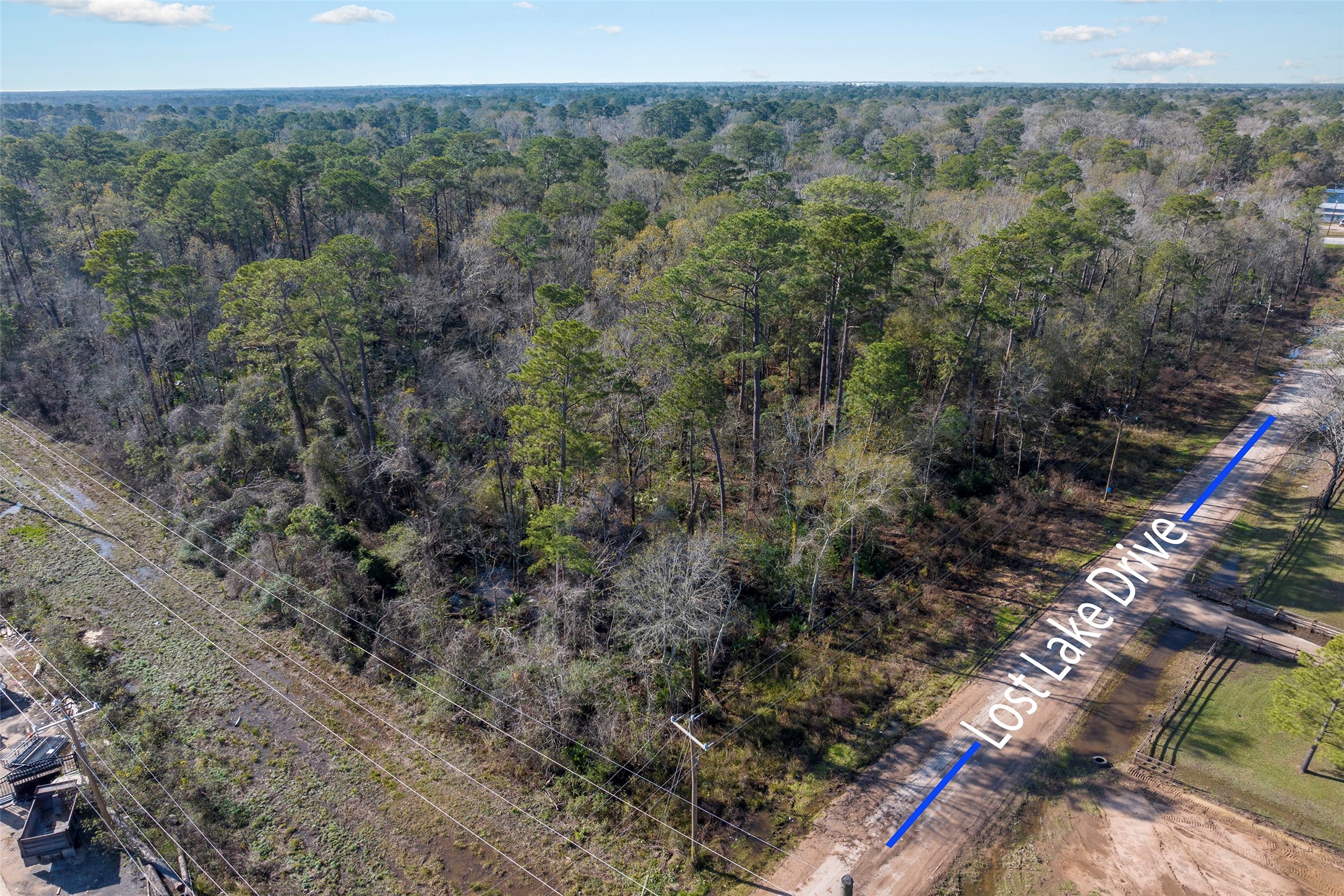 0 Fm 1485 Road New Caney, TX 77357 - Photo 12 of 13 a view of a forest with a forest