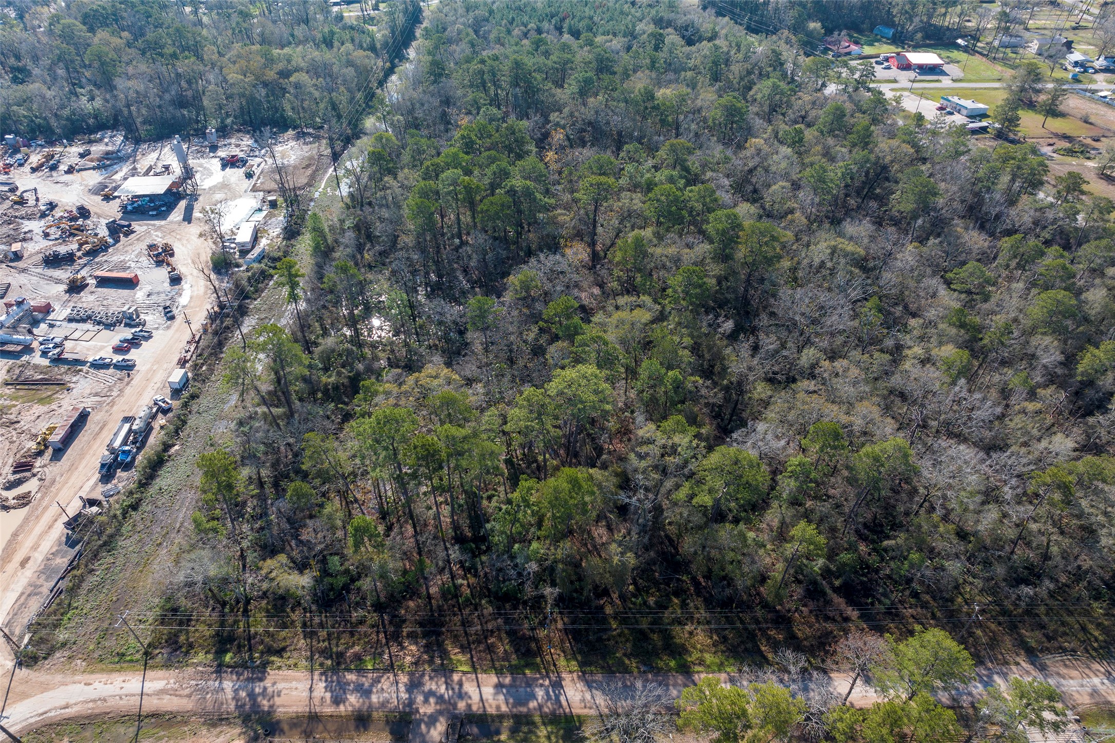 0 Fm 1485 Road New Caney, TX 77357 - Photo 7 of 13 a view of a forest with a tree