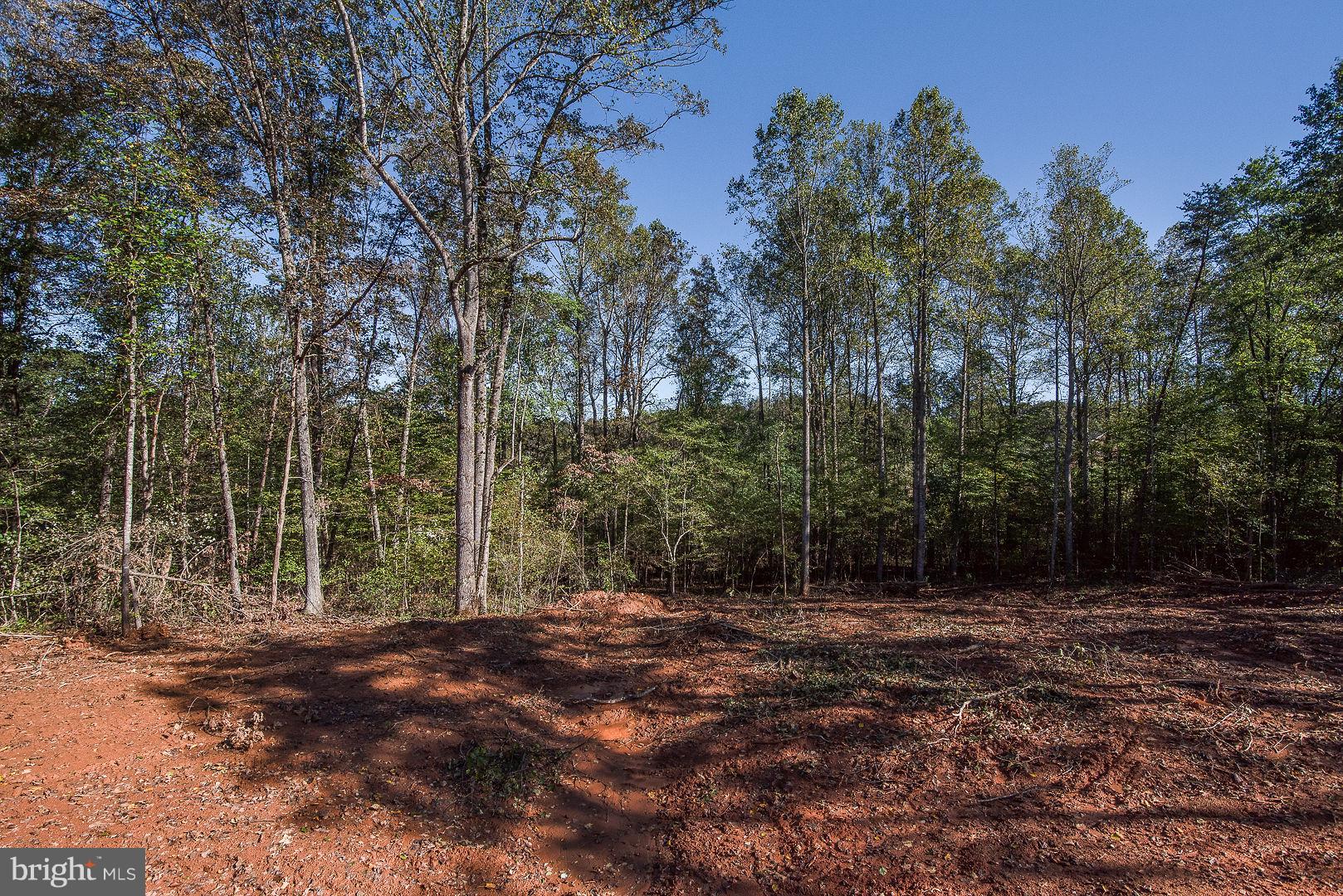 6415 Griffinsburg Road Boston, VA 22713 - Photo 5 of 24 Backyard