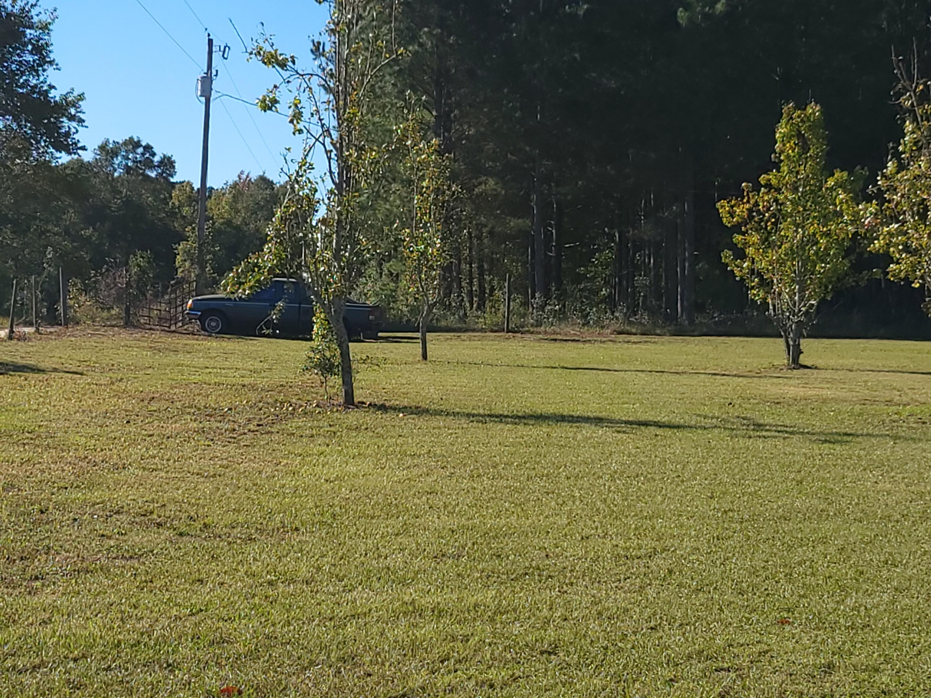 142 Longleaf Road Norway, SC 29113 - Photo 12 of 79 1000008196