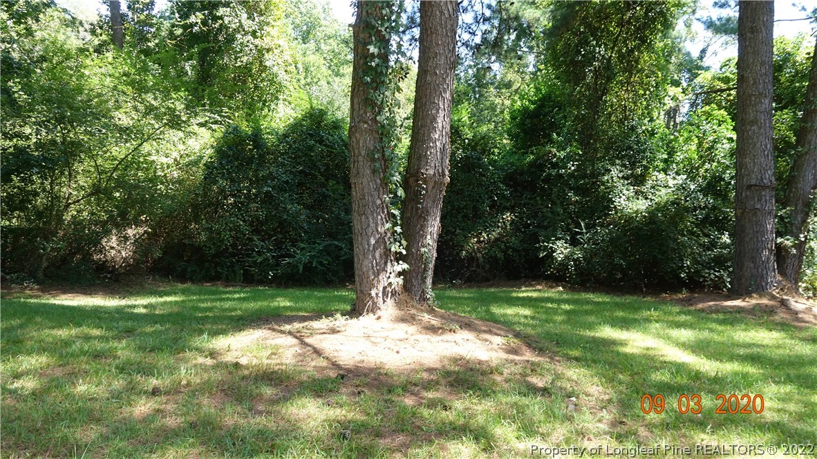 5856 Columbine Road Fayetteville, NC 28306 - Photo 20 of 25 a view of outdoor space with trees all around