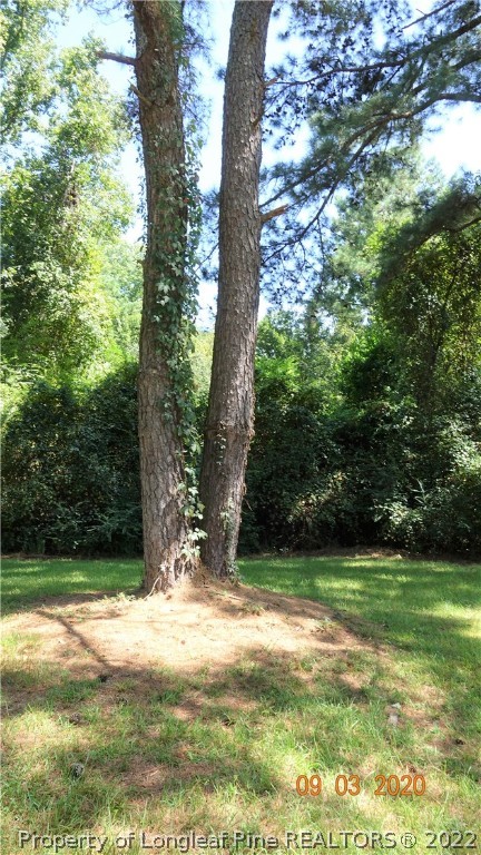 5856 Columbine Road Fayetteville, NC 28306 - Photo 21 of 25 a view of a yard with a tree