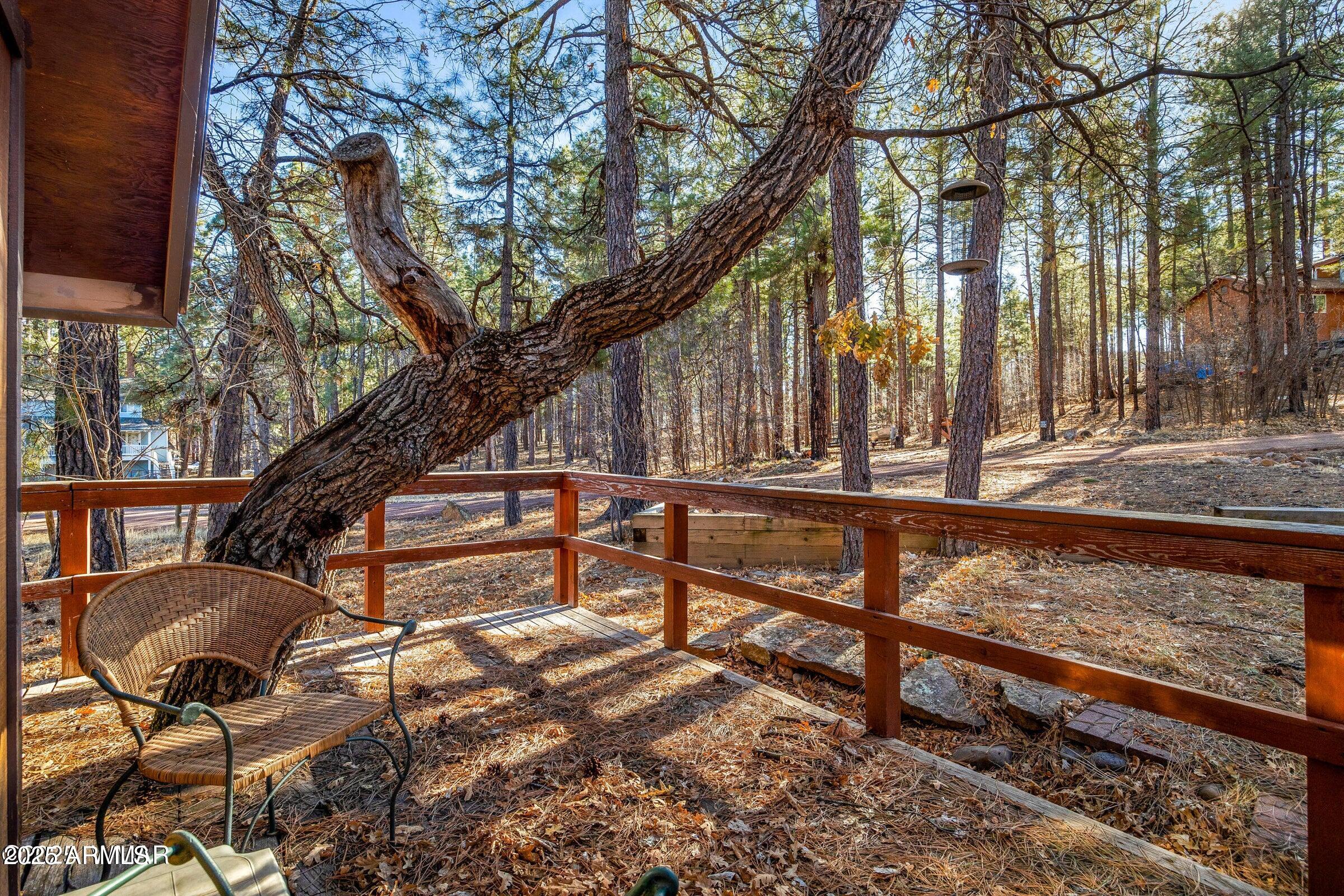 5528 Deer Run Pinedale, AZ 85934 - Photo 4 of 9 a view of a bench in a patio
