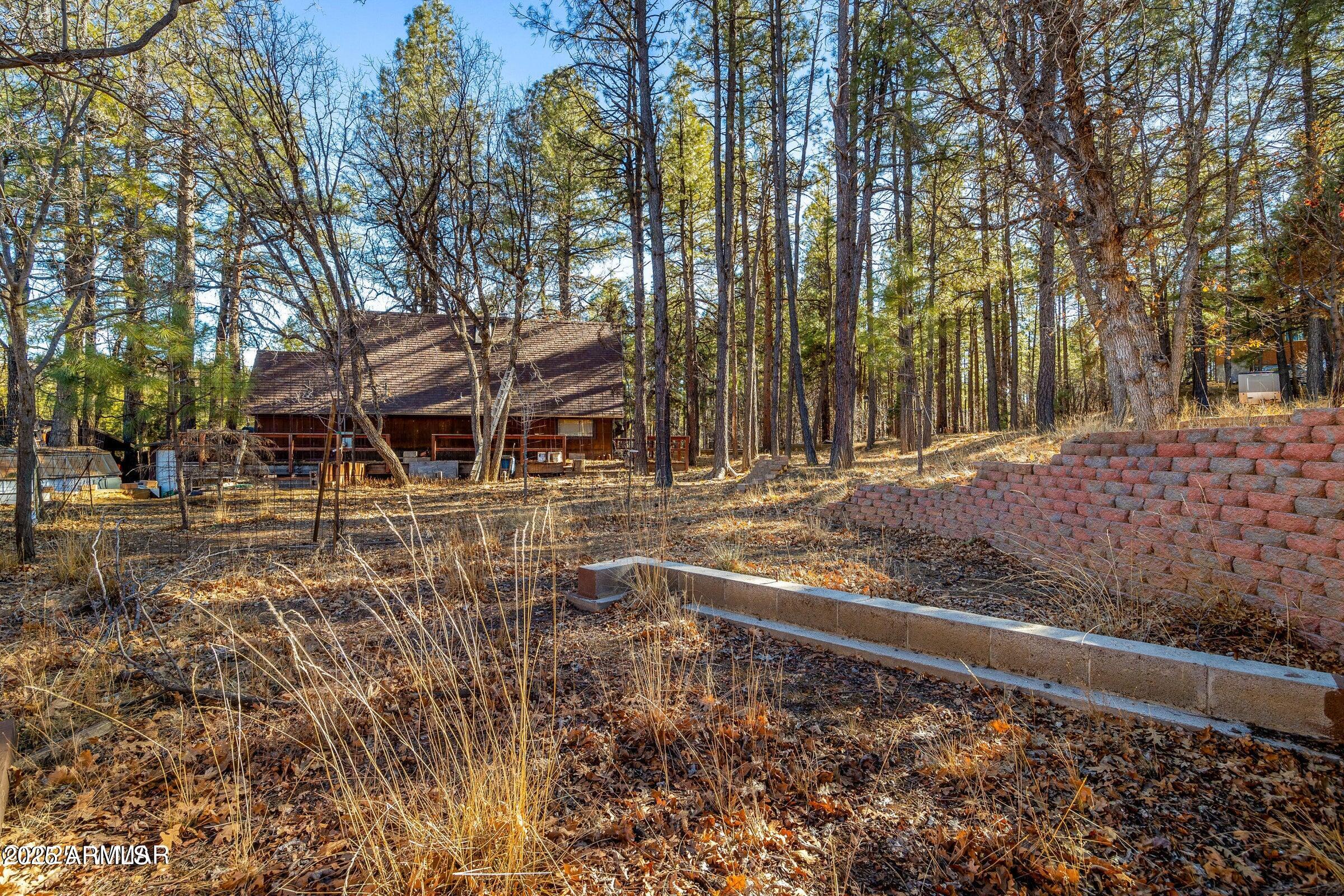 5528 Deer Run Pinedale, AZ 85934 - Photo 5 of 9 a backyard of a house with lots of green space