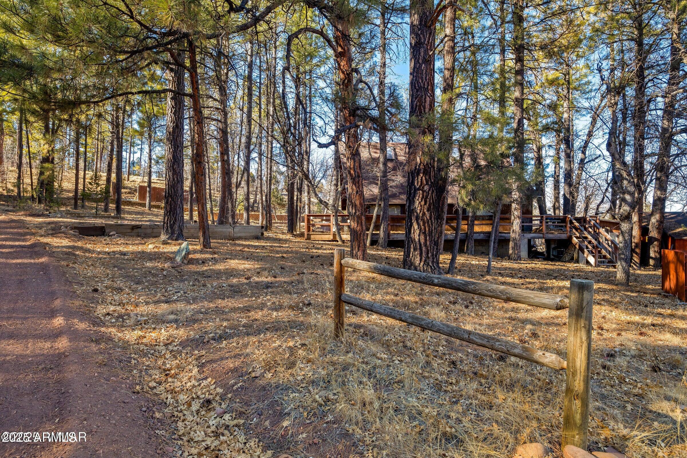 5528 Deer Run Pinedale, AZ 85934 - Photo 6 of 9 a view of street with trees
