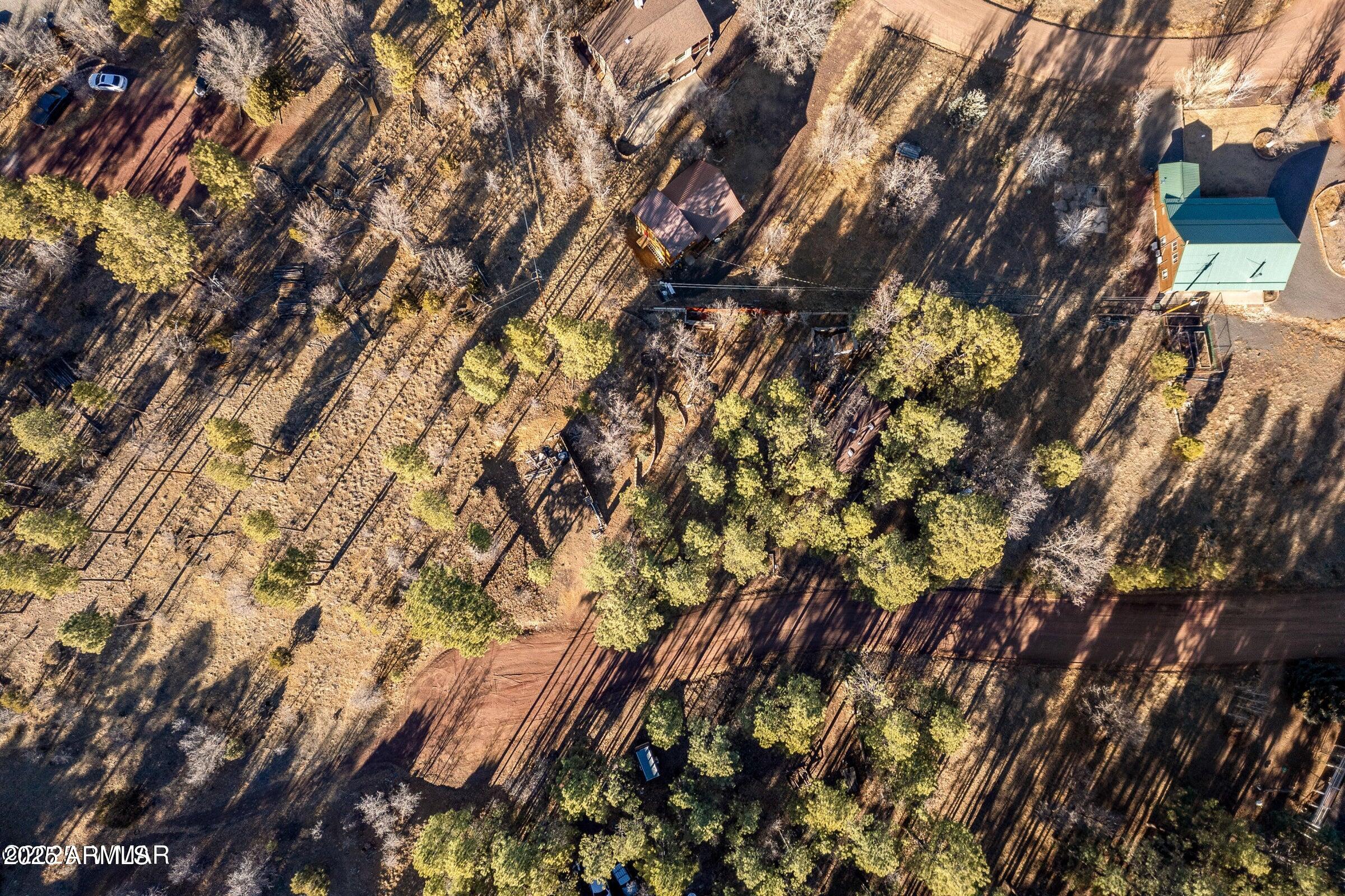 5528 Deer Run Pinedale, AZ 85934 - Photo 9 of 9 a view of a tree