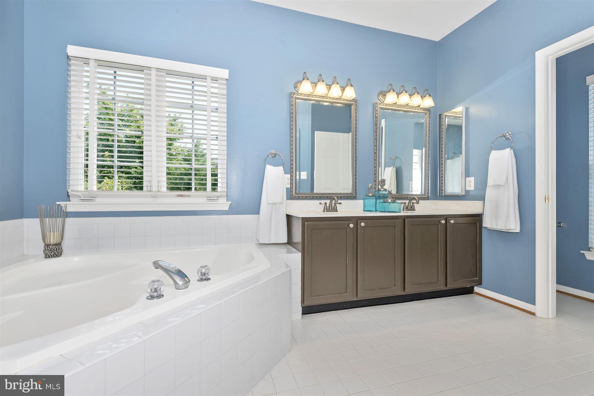 9013 Bealls Farm Road Frederick, MD 21704 - Photo 17 of 30 Relax in this soaking tub after a long day