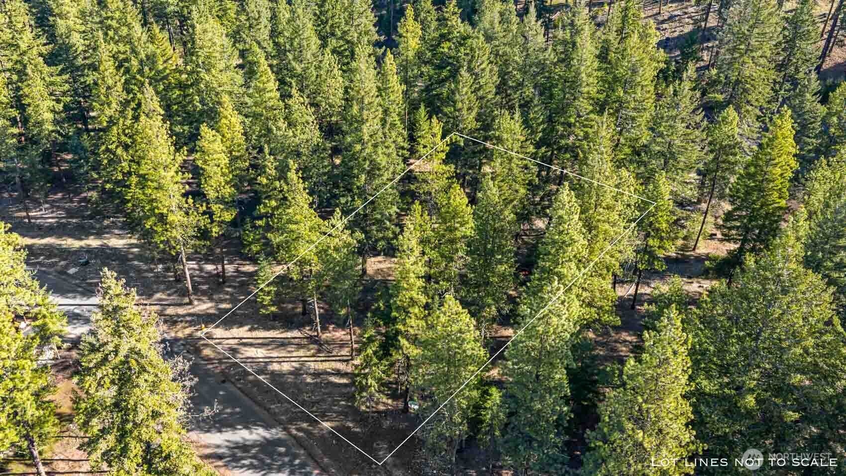 52 Wanawish Loop Ronald, WA 98940 - Photo 5 of 9 a view of a yard with a tree