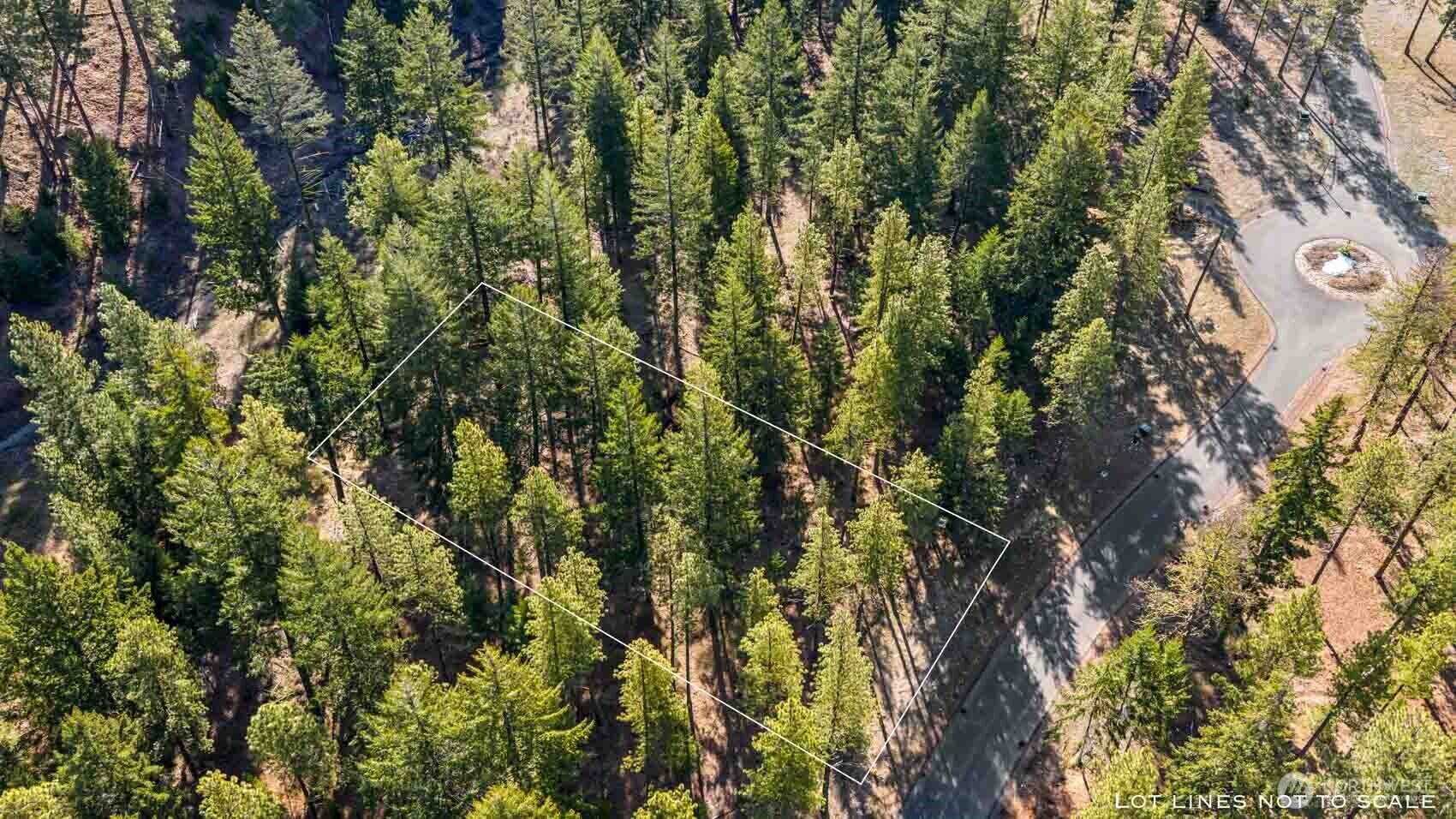 52 Wanawish Loop Ronald, WA 98940 - Photo 7 of 9 a view of a yard with a tree