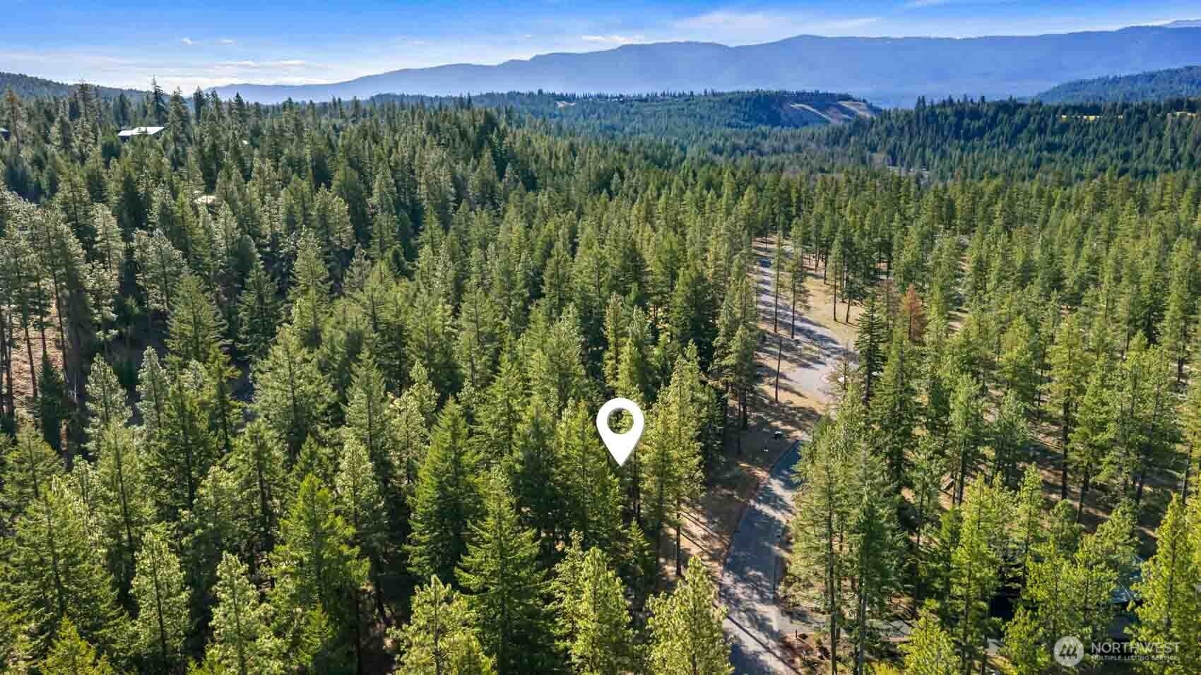 52 Wanawish Loop Ronald, WA 98940 - Photo 8 of 9 a view of a city with lush green forest