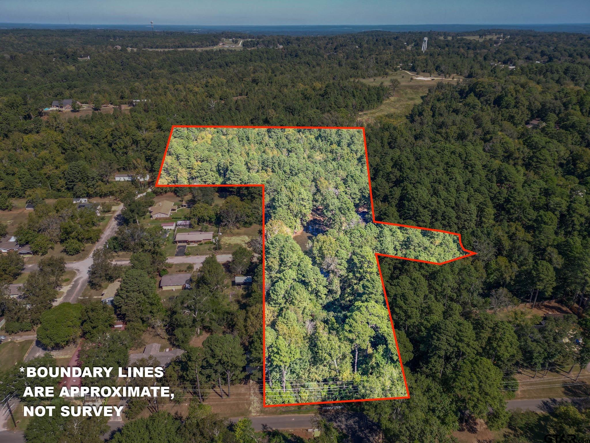 431 Gifford Street Rusk, TX 75785 - Photo 2 of 48 an aerial view of a houses with a yard