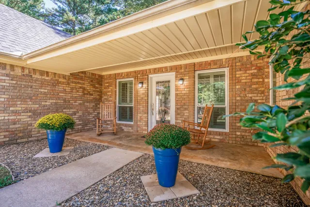 a potted plant sitting in front of a house with potted plants