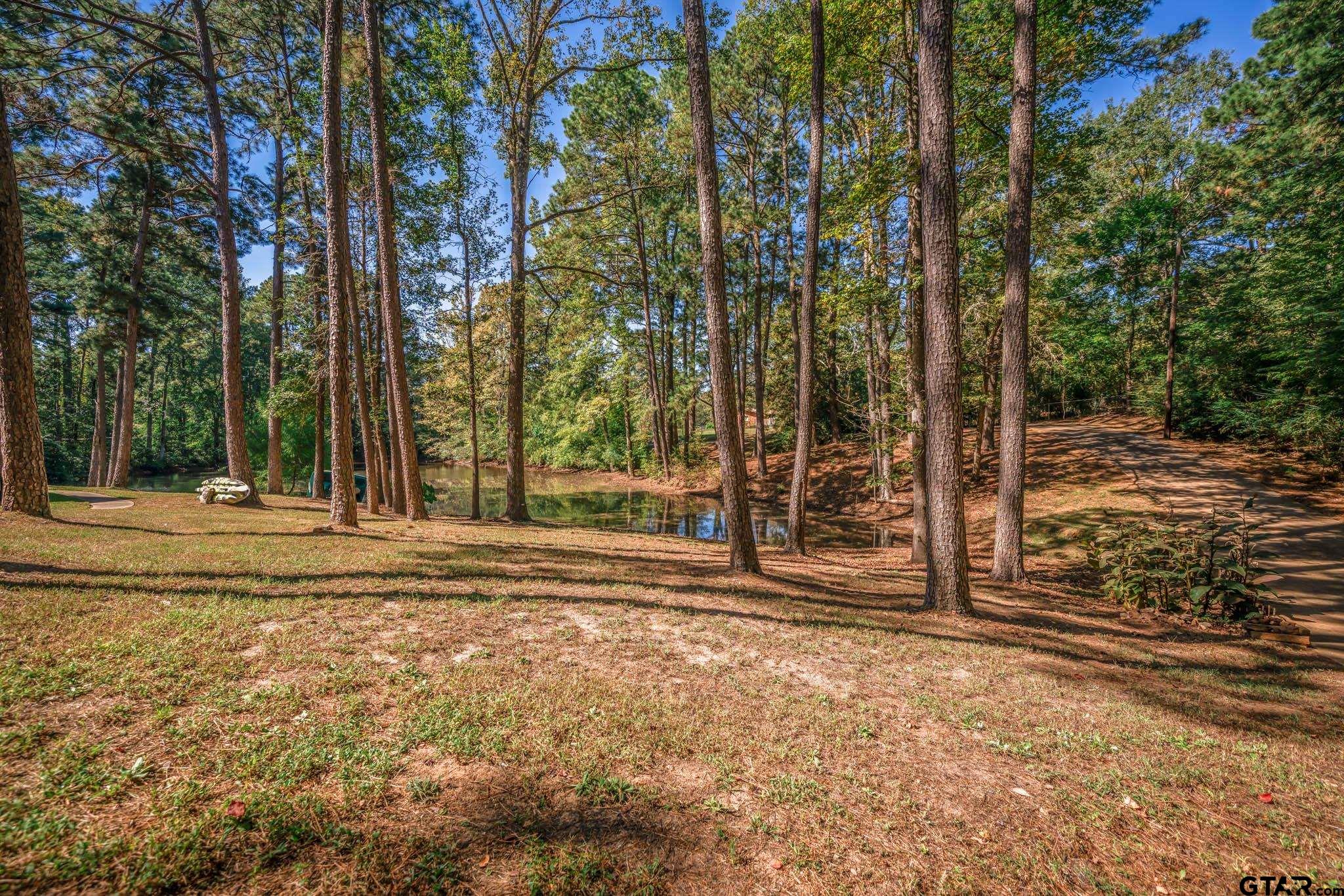 431 Gifford Street Rusk, TX 75785 - Photo 6 of 48 a view of a house with large trees