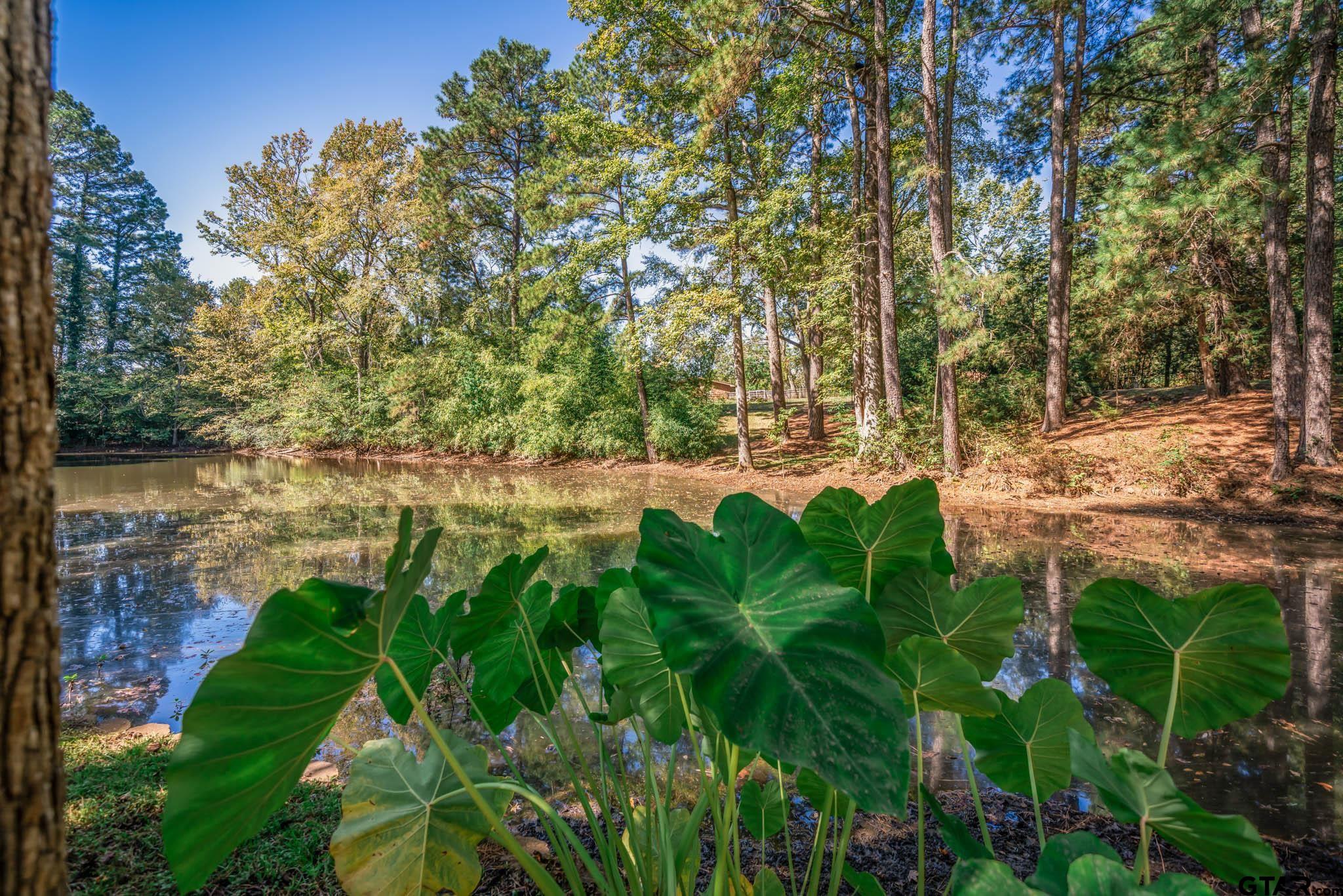 431 Gifford Street Rusk, TX 75785 - Photo 7 of 48 a backyard of a house with lots of green space and lake view