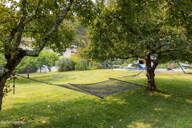 a view of yard with large trees