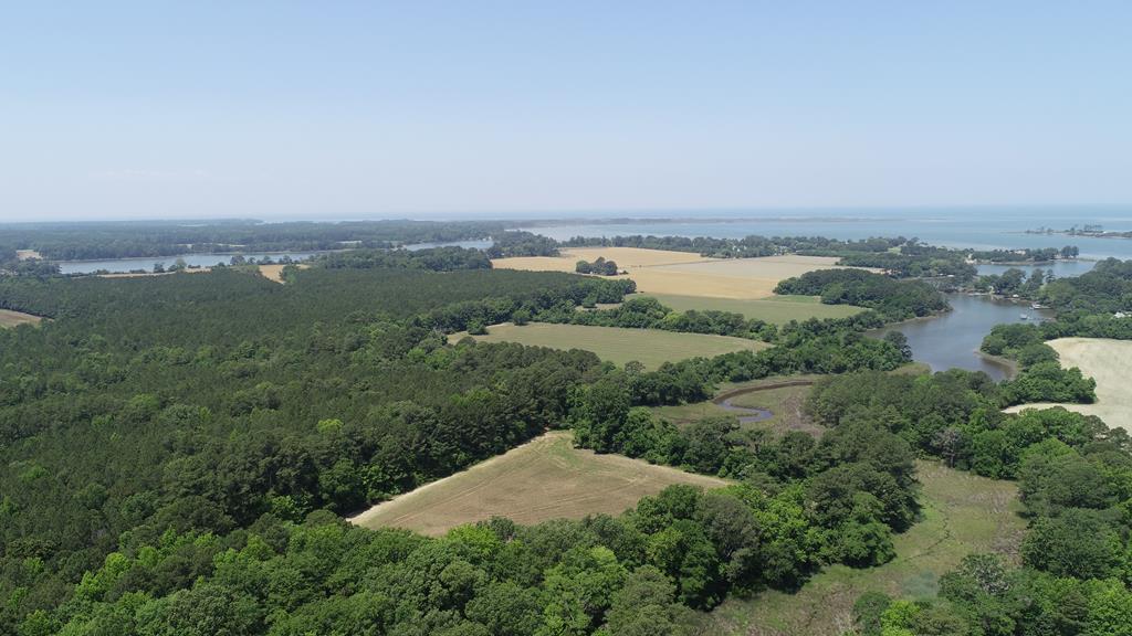 0 Cedar View Road Painter, VA 23420 - Photo 28 of 72
