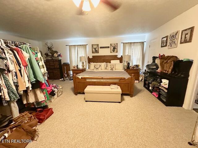 554 McLin Hollow Road Rose Hill, VA 24281 - Photo 14 of 26 primary bedroom