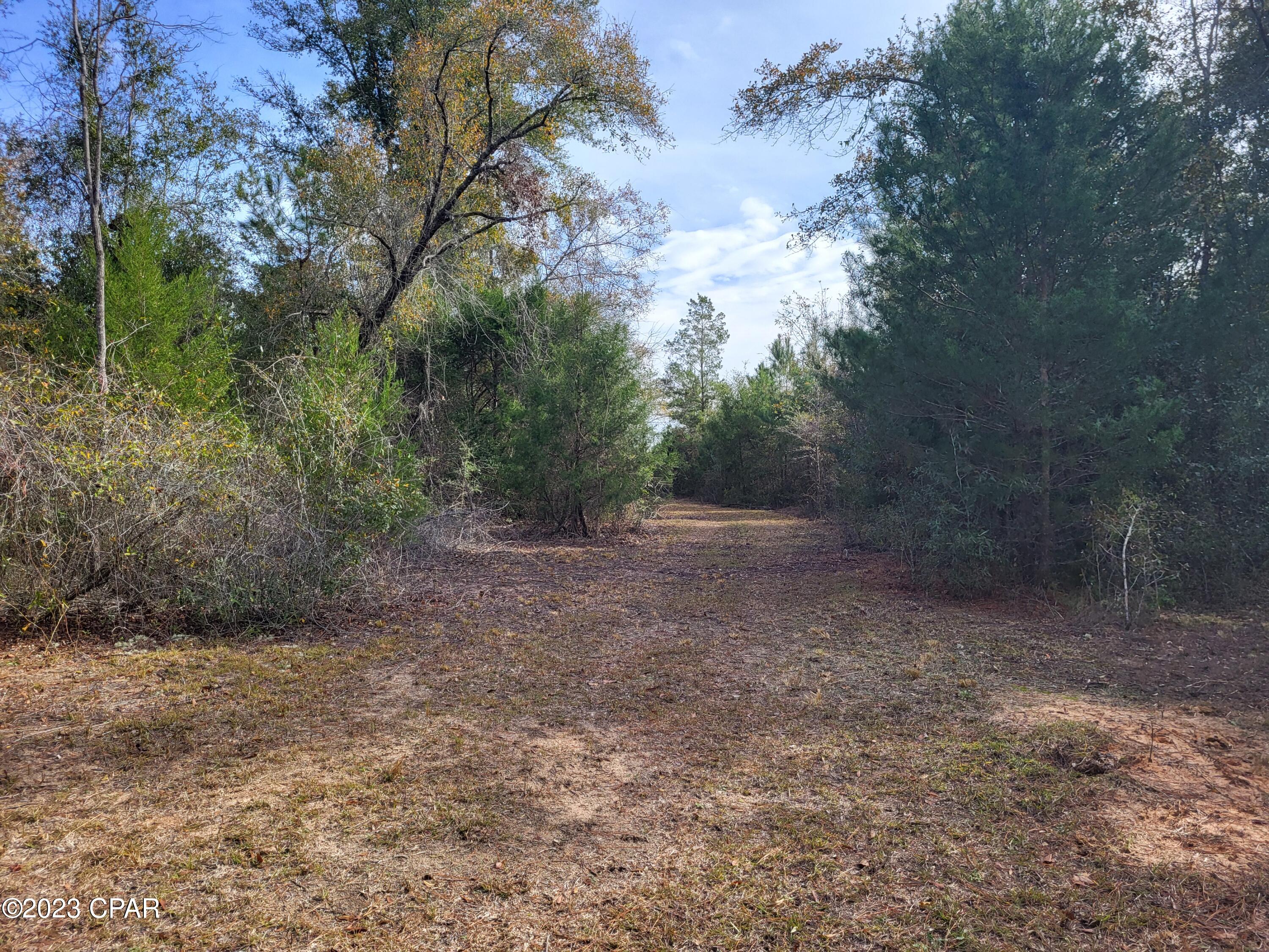 0 Northeast Morgan Tucker Road, Unit LOT 1 Altha, FL 32421 - Photo 22 of 27