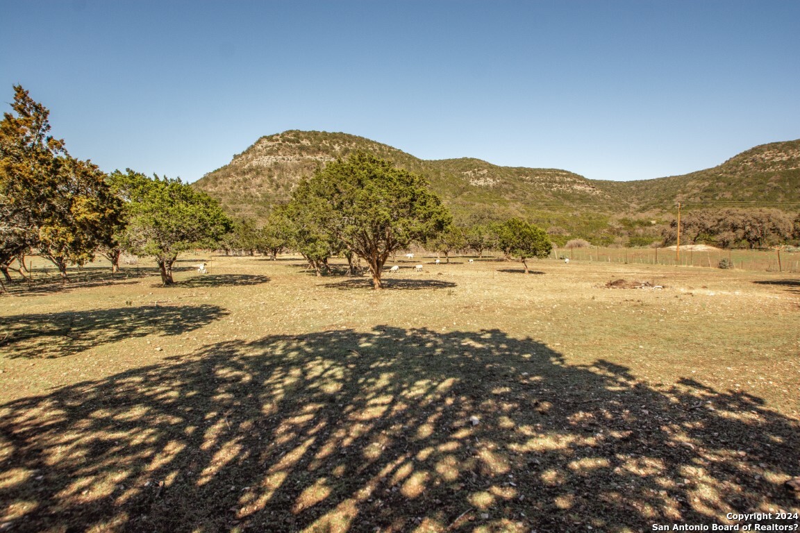 195 Canyon Road Vanderpool, TX 78885 - Photo 11 of 20