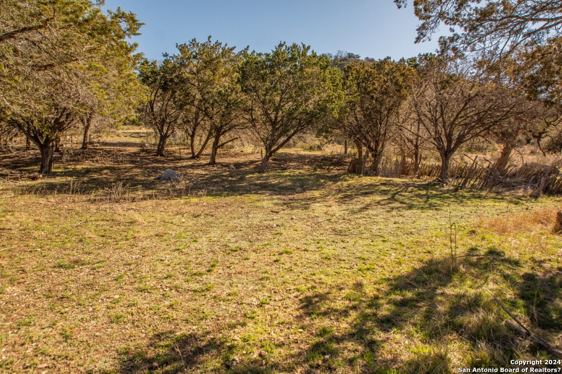 195 Canyon Road Vanderpool, TX 78885 - Photo 14 of 20