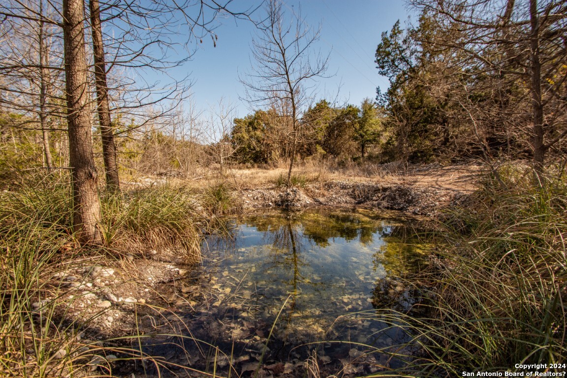 195 Canyon Road Vanderpool, TX 78885 - Photo 4 of 20