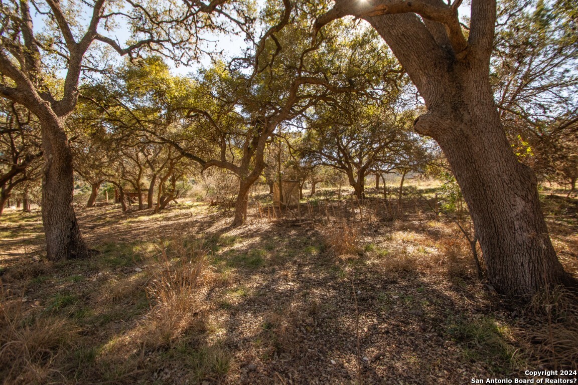 195 Canyon Road Vanderpool, TX 78885 - Photo 7 of 20