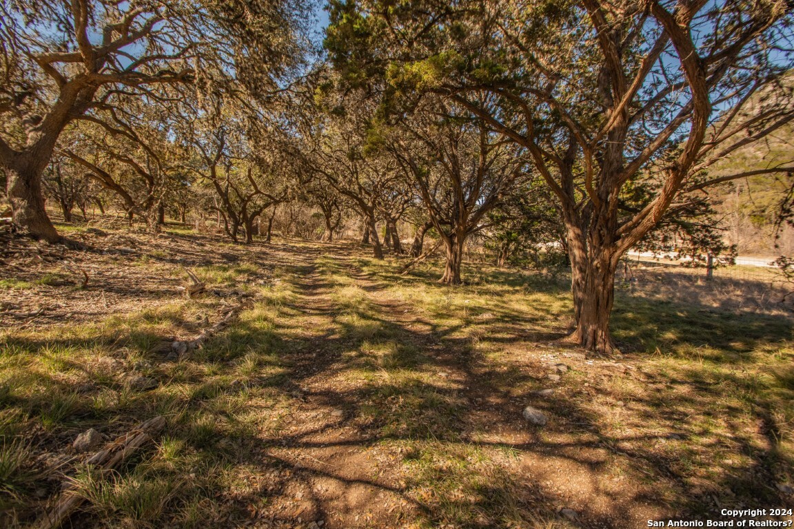 195 Canyon Road Vanderpool, TX 78885 - Photo 9 of 20