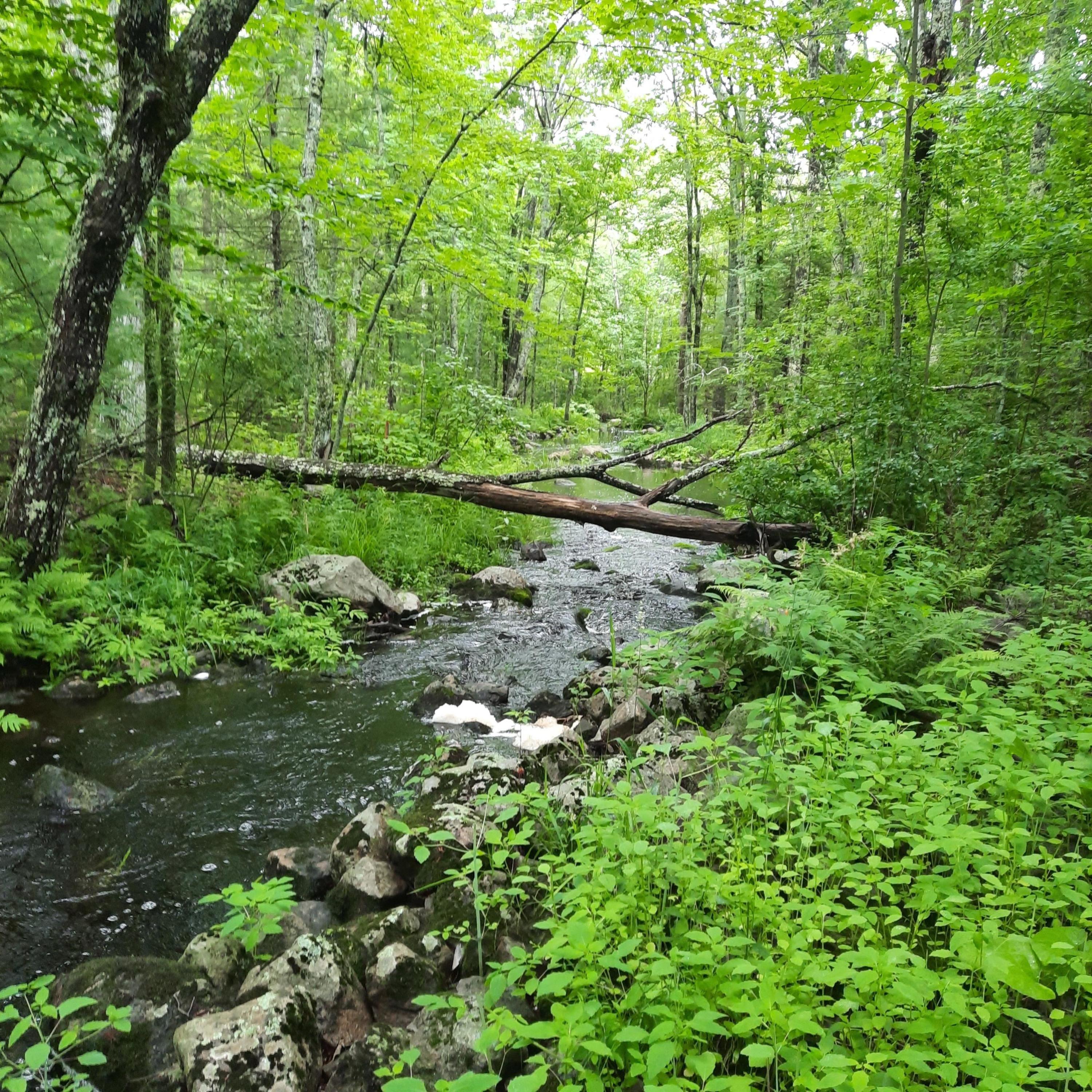 192 Southern Bay Road Penobscot, ME 04476 - Photo 43 of 46 20210704_183146
