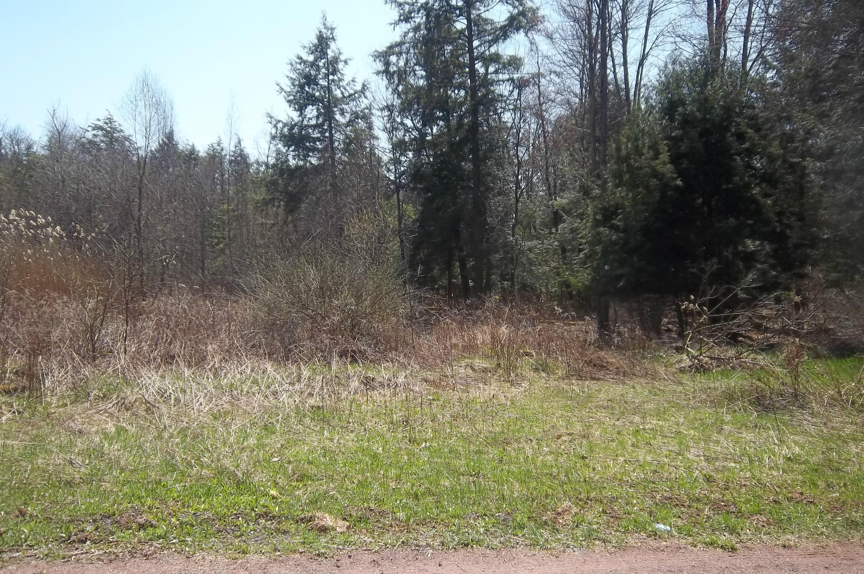 Diehl Road Damascus, PA 18415 - Photo 2 of 5