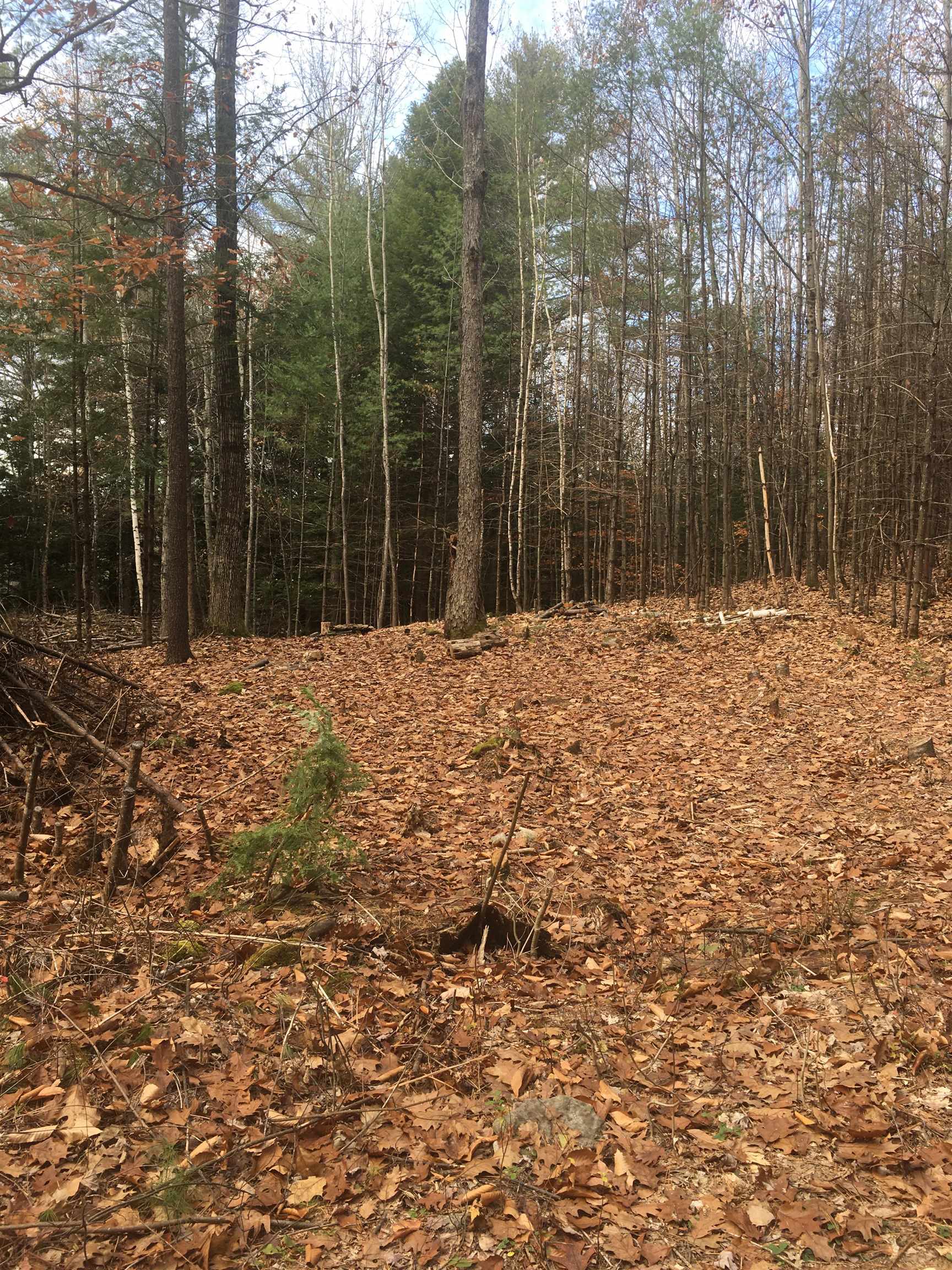 31 Sunset Road Alexandria, NH 03222 - Photo 5 of 7